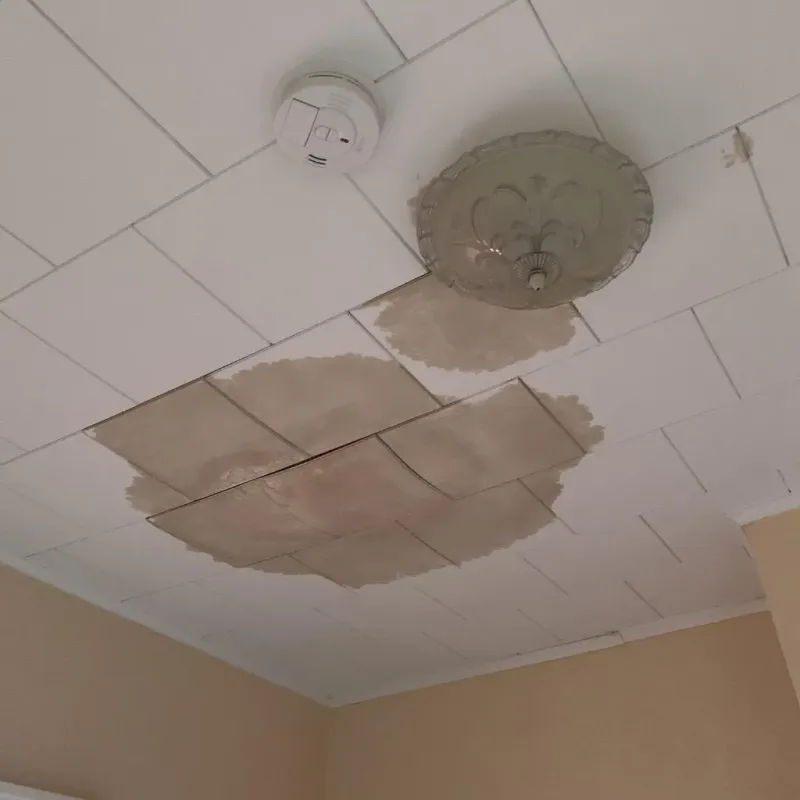 Ceiling Water Damage Repair in Belcourt, ND