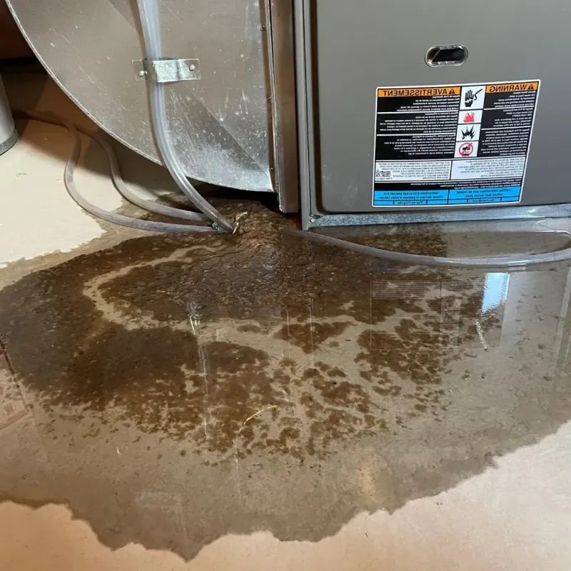 Pipe Burst and Leak Restoration in Belcourt, ND